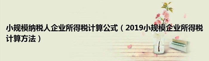 小规模纳税人企业所得税计算公式(2019小规模企业所得税计算方法)