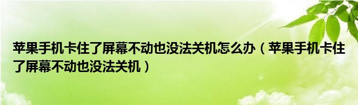 苹果手机卡住了屏幕不动也没法关机怎么办(苹果手机卡住了屏幕不动也没法关机)