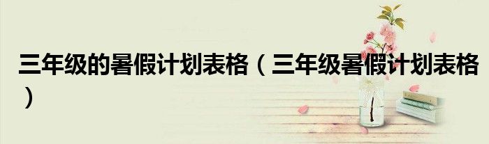 三年级的暑假计划表格(三年级暑假计划表格)