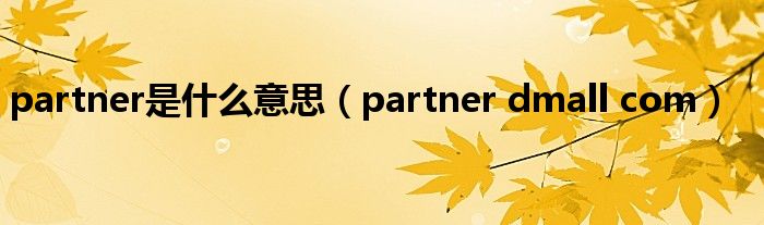 partner是什么意思(partner dmall com)