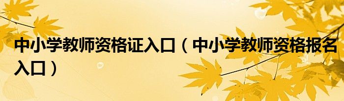 中小学教师资格证入口(中小学教师资格报名入口)