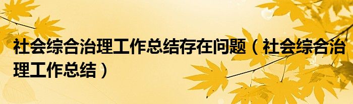 社会综合治理工作总结存在问题(社会综合治理工作总结)