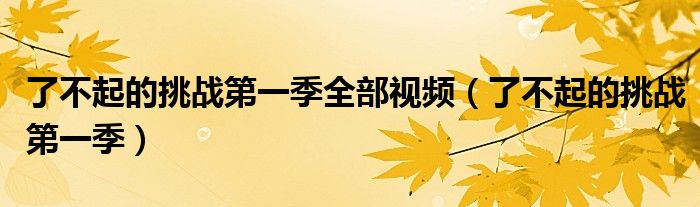 了不起的挑战第一季全部视频(了不起的挑战第一季)