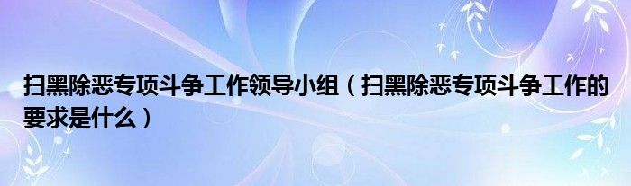 扫黑除恶专项斗争工作领导小组(扫黑除恶专项斗争工作的要求是什么)