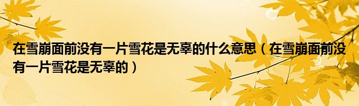 在雪崩面前没有一片雪花是无辜的什么意思(在雪崩面前没有一片雪花是无辜的)