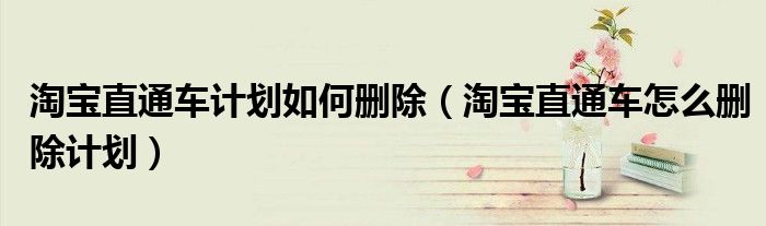 淘宝直通车计划如何删除(淘宝直通车怎么删除计划)
