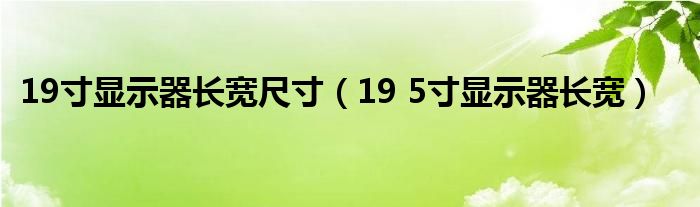 19寸显示器长宽尺寸(19 5寸显示器长宽)