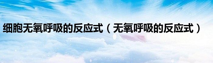 细胞无氧呼吸的反应式(无氧呼吸的反应式)