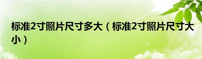 标准2寸照片尺寸多大(标准2寸照片尺寸大小)
