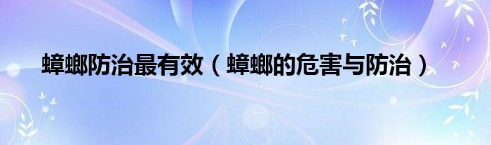 蟑螂防治最有效(蟑螂的危害与防治)