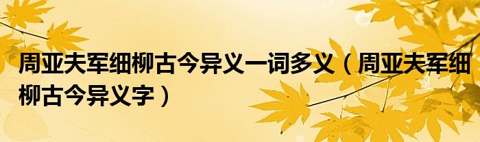 周亚夫军细柳古今异义一词多义(周亚夫军细柳古今异义字)