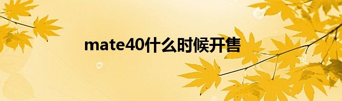 mate40什么时候开售