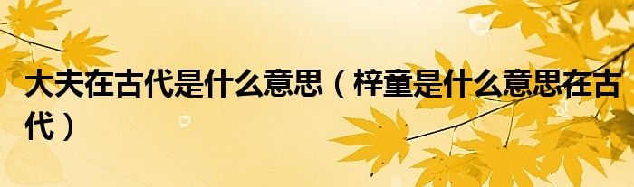 大夫在古代是什么意思(梓童是什么意思在古代)