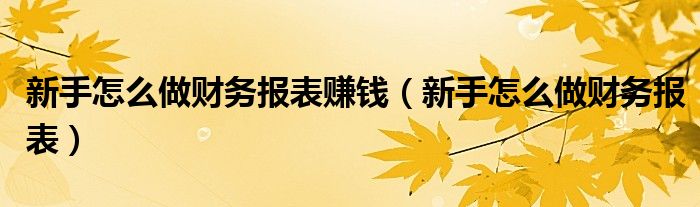 新手怎么做财务报表赚钱(新手怎么做财务报表)