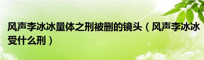 风声李冰冰量体之刑被删的镜头(风声李冰冰受什么刑)