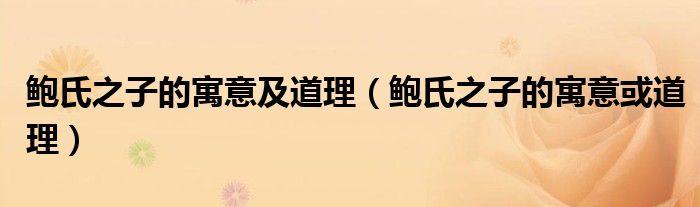 鲍氏之子的寓意及道理(鲍氏之子的寓意或道理)
