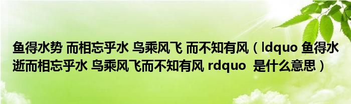鱼得水势 而相忘乎水 鸟乘风飞 而不知有风(ldquo 鱼得水逝而相忘乎水 鸟乘风飞而不知有风 rdquo 是什么意思)