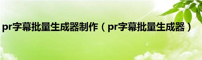 pr字幕批量生成器制作(pr字幕批量生成器)