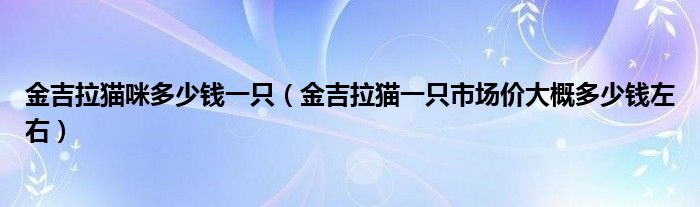 金吉拉猫咪多少钱一只(金吉拉猫一只市场价大概多少钱左右)