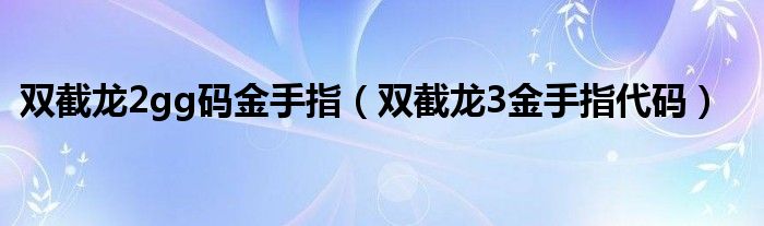 双截龙2gg码金手指(双截龙3金手指代码)
