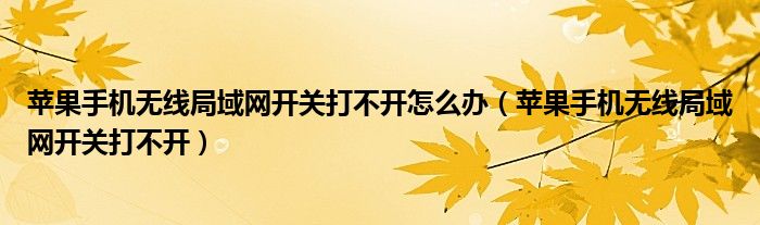苹果手机无线局域网开关打不开怎么办(苹果手机无线局域网开关打不开)