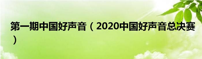 第一期中国好声音(2020中国好声音总决赛)