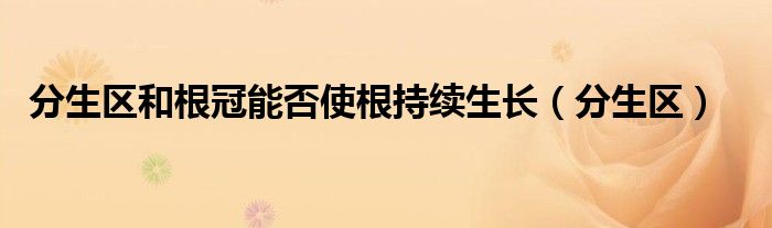 分生区和根冠能否使根持续生长(分生区)