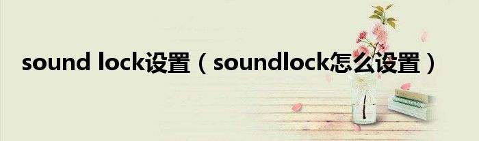 sound lock设置(soundlock怎么设置)