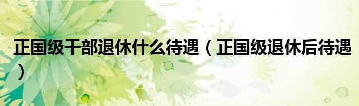 正国级干部退休什么待遇(正国级退休后待遇)