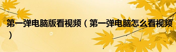 第一弹电脑版看视频(第一弹电脑怎么看视频)