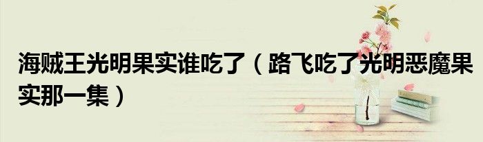 海贼王光明果实谁吃了(路飞吃了光明恶魔果实那一集)