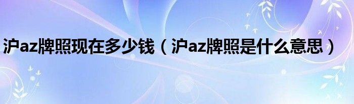 沪az牌照现在多少钱(沪az牌照是什么意思)