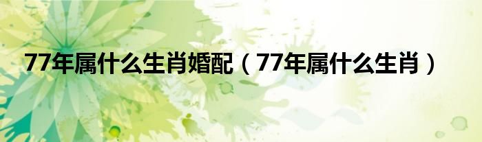 77年属什么生肖婚配(77年属什么生肖)