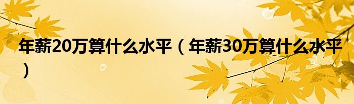 年薪20万算什么水平(年薪30万算什么水平)