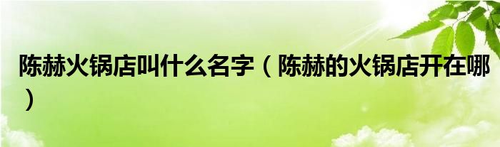 陈赫火锅店叫什么名字(陈赫的火锅店开在哪)
