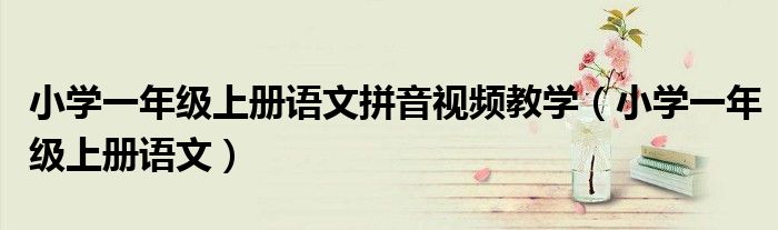 小学一年级上册语文拼音视频教学(小学一年级上册语文)