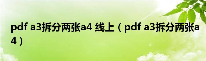pdf a3拆分两张a4 线上(pdf a3拆分两张a4)