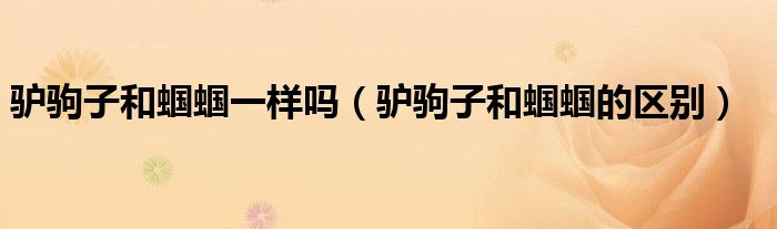 驴驹子和蝈蝈一样吗(驴驹子和蝈蝈的区别)
