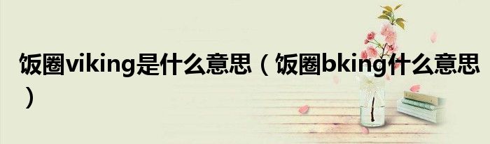 饭圈viking是什么意思(饭圈bking什么意思)