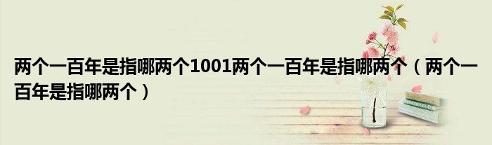 两个一百年是指哪两个1001两个一百年是指哪两个(两个一百年是指哪两个)