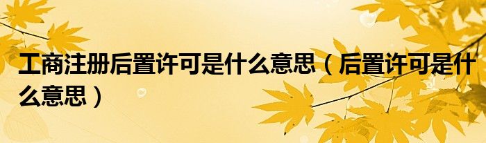 工商注册后置许可是什么意思(后置许可是什么意思)