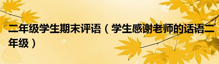 二年级学生期末评语(学生感谢老师的话语二年级)