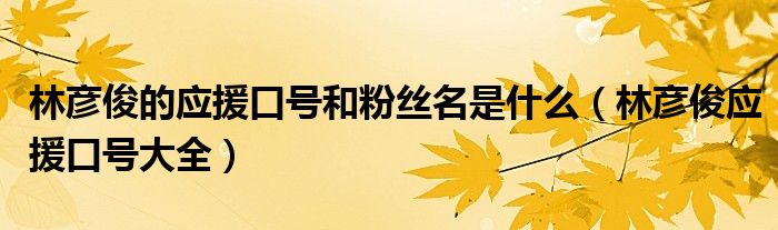 林彦俊的应援口号和粉丝名是什么(林彦俊应援口号大全)