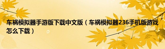 车祸模拟器手游版下载中文版(车祸模拟器236手机版游戏怎么下载)