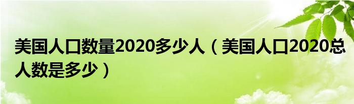 美国人口数量2020多少人(美国人口2020总人数是多少)