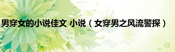 男穿女的小说佳文 小说(女穿男之风流警探)