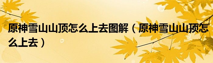原神雪山山顶怎么上去图解(原神雪山山顶怎么上去)