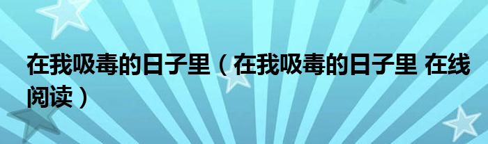 在我吸毒的日子里(在我吸毒的日子里 在线阅读)