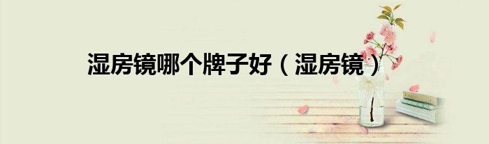 湿房镜哪个牌子好(湿房镜)