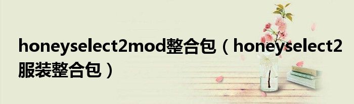 honeyselect2mod整合包(honeyselect2服装整合包)